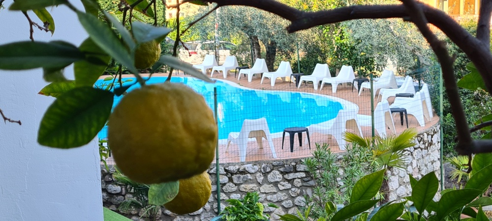 Pool und Orangen beim Hotel Laura Christina