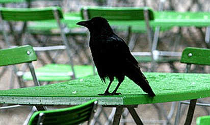 TCD 45er - Kaltes Wetter 2013